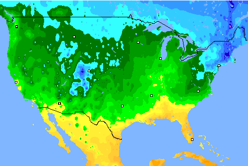 Tmin USA