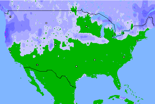 Precipitation (24 h) USA