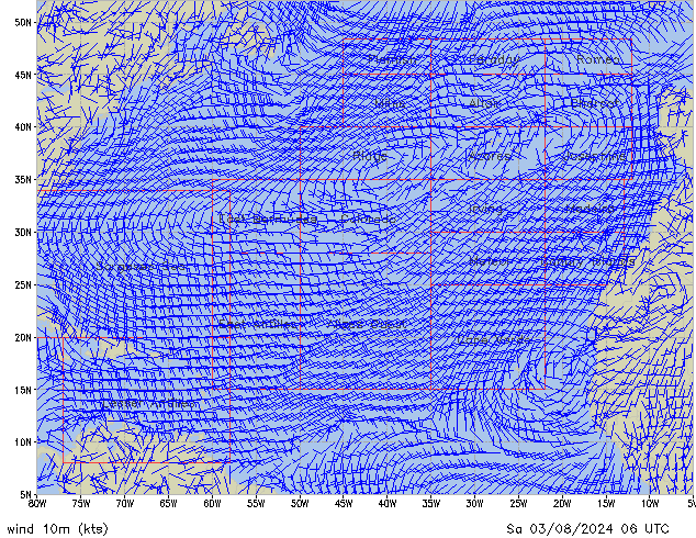 Sa 03.08.2024 06 UTC