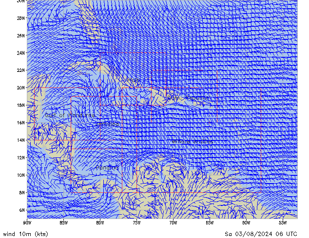 Sa 03.08.2024 06 UTC