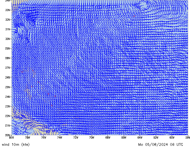 Mo 05.08.2024 06 UTC