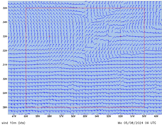 Mo 05.08.2024 06 UTC