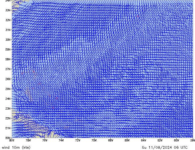 Su 11.08.2024 06 UTC