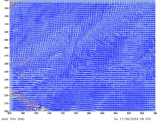 Su 11.08.2024 06 UTC