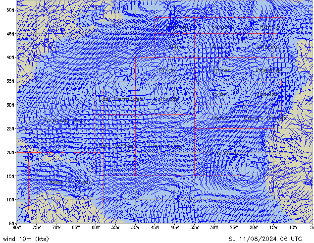 Su 11.08.2024 06 UTC