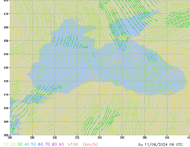 Su 11.08.2024 06 UTC