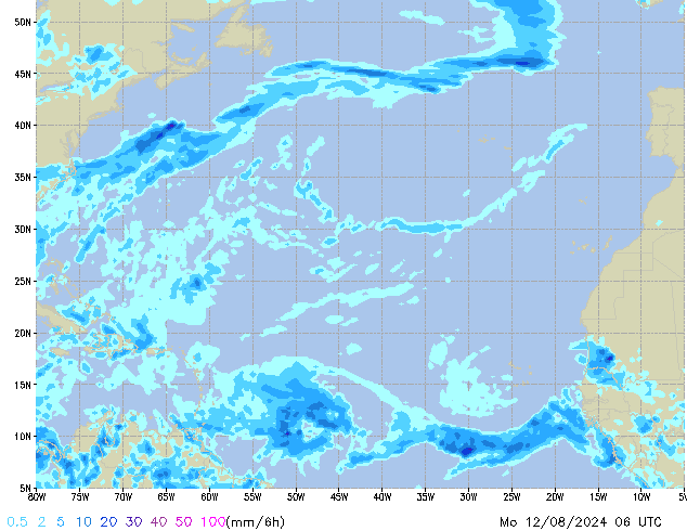 Mo 12.08.2024 06 UTC