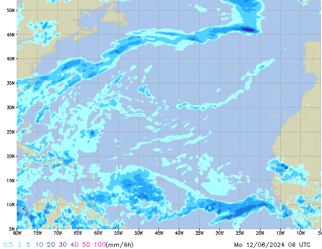 Mo 12.08.2024 06 UTC