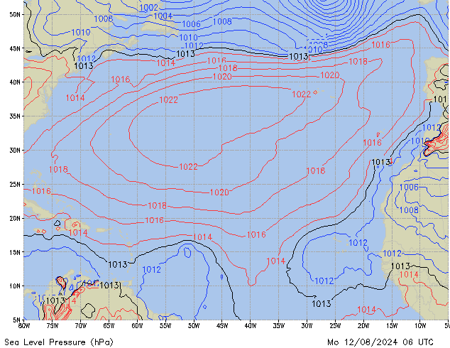 Mo 12.08.2024 06 UTC