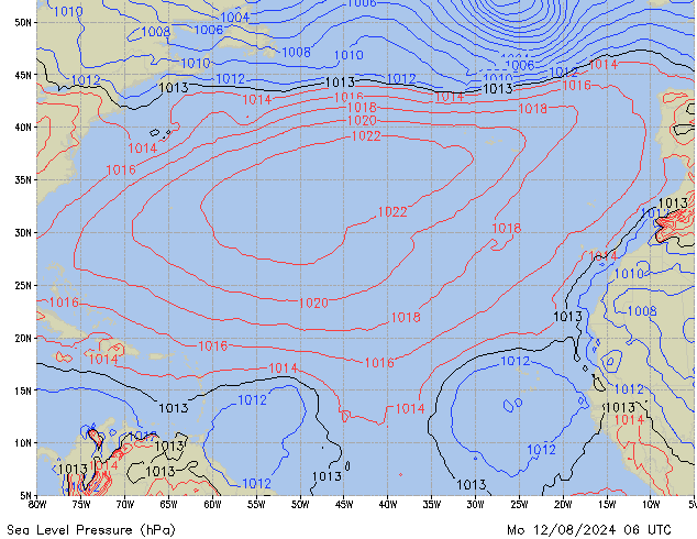 Mo 12.08.2024 06 UTC