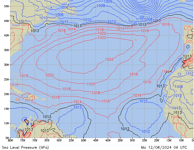 Mo 12.08.2024 06 UTC