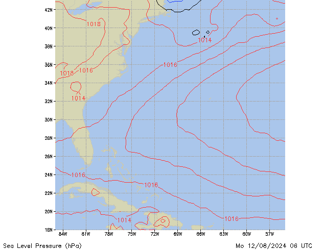 Mo 12.08.2024 06 UTC