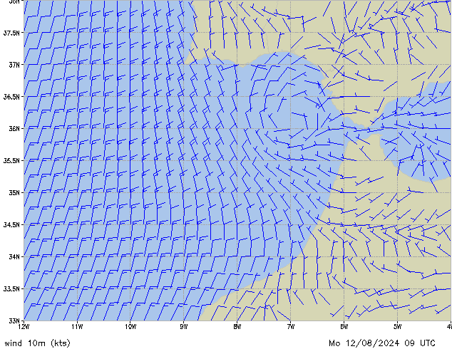 Mo 12.08.2024 09 UTC