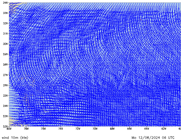 Mo 12.08.2024 06 UTC