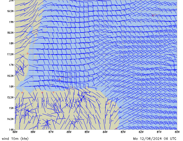 Mo 12.08.2024 06 UTC