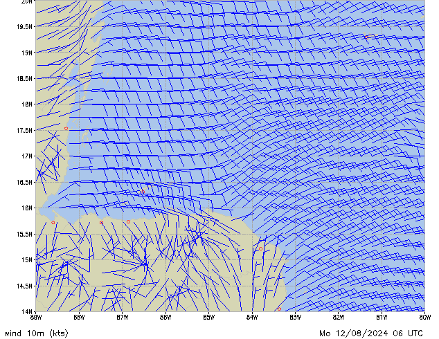 Mo 12.08.2024 06 UTC