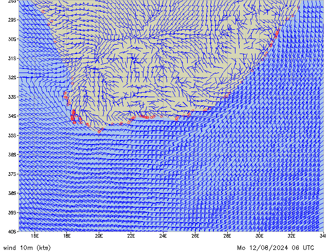 Mo 12.08.2024 06 UTC