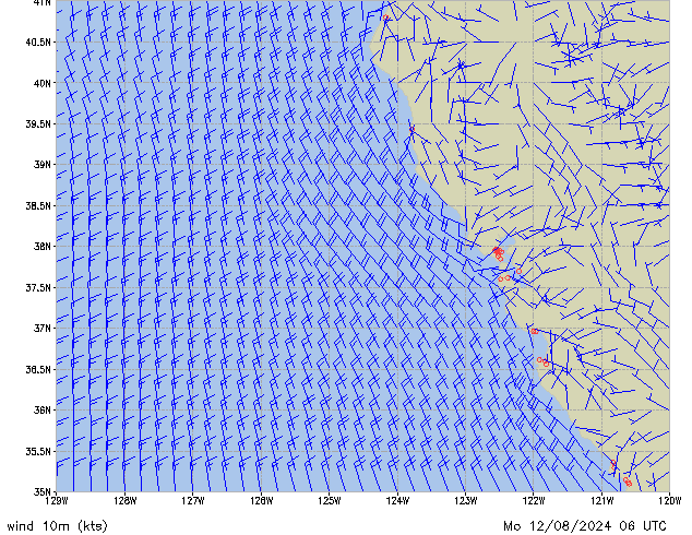 Mo 12.08.2024 06 UTC