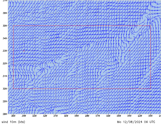 Mo 12.08.2024 06 UTC