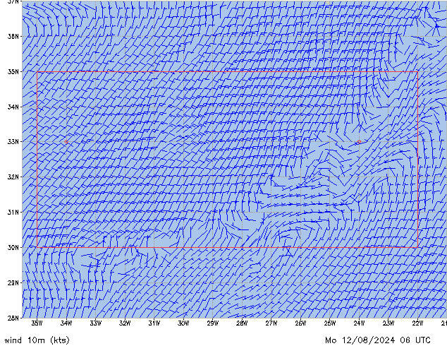 Mo 12.08.2024 06 UTC