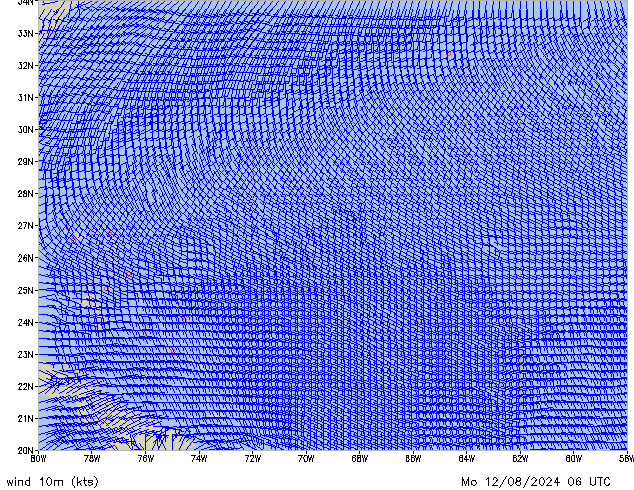 Mo 12.08.2024 06 UTC