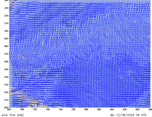 Mo 12.08.2024 06 UTC