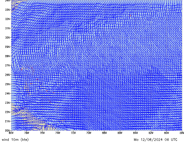 Mo 12.08.2024 06 UTC