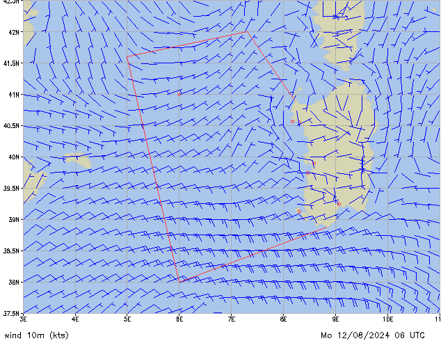 Mo 12.08.2024 06 UTC