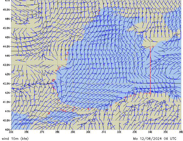 Mo 12.08.2024 06 UTC