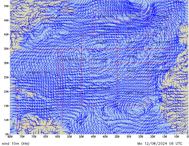 Mo 12.08.2024 06 UTC