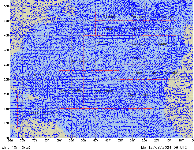 Mo 12.08.2024 06 UTC