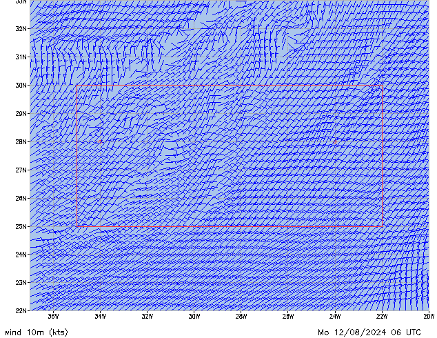 Mo 12.08.2024 06 UTC