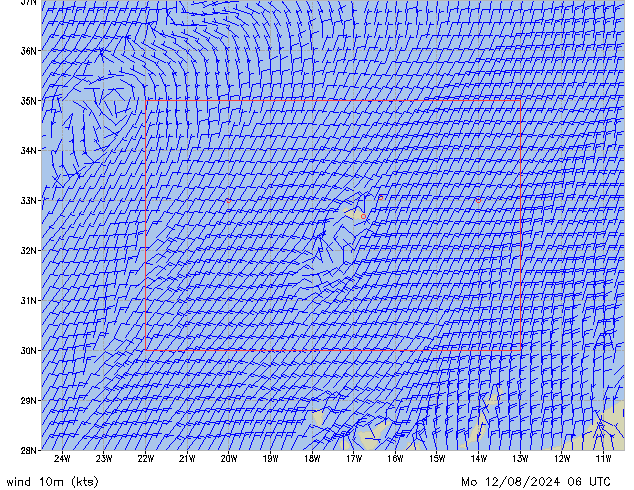 Mo 12.08.2024 06 UTC