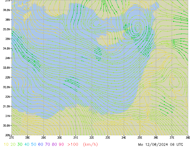 Mo 12.08.2024 06 UTC