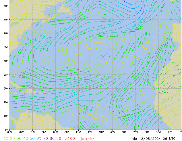 Mo 12.08.2024 06 UTC