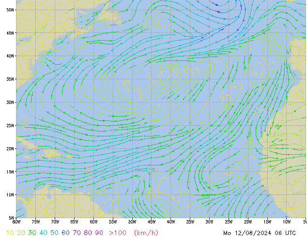 Mo 12.08.2024 06 UTC