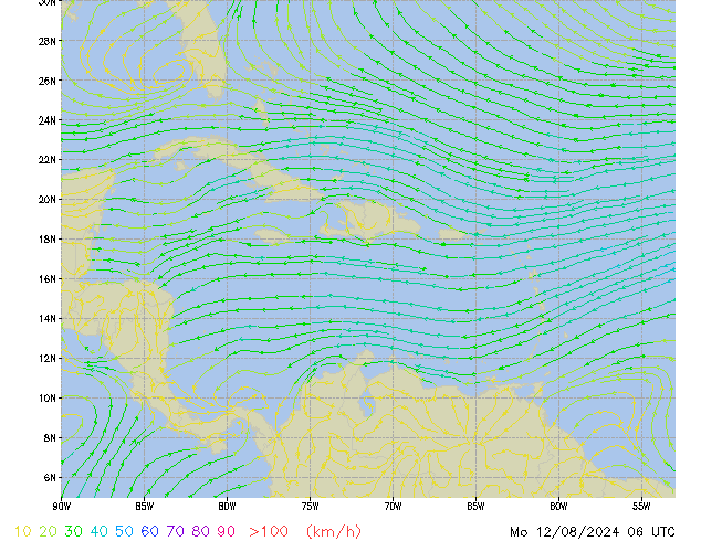 Mo 12.08.2024 06 UTC