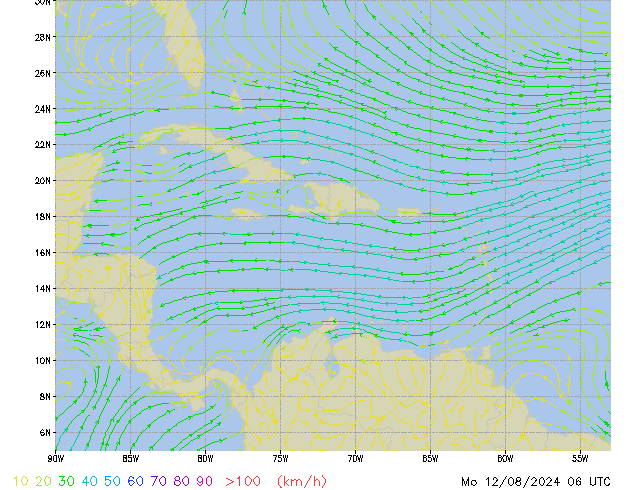 Mo 12.08.2024 06 UTC