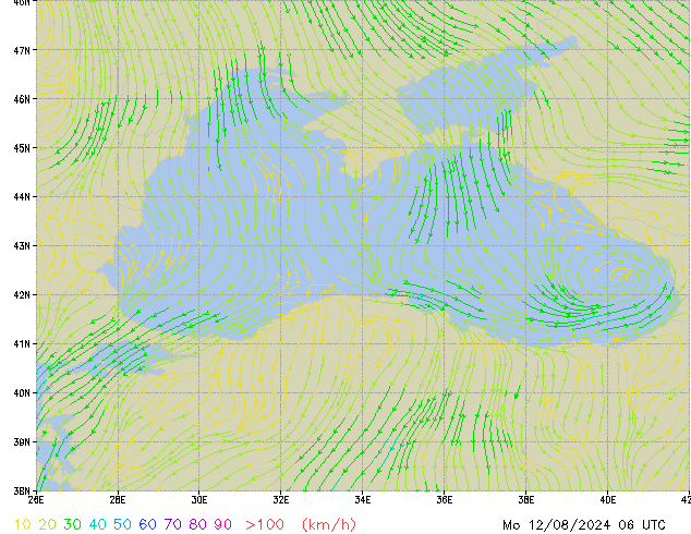 Mo 12.08.2024 06 UTC