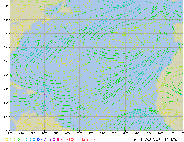 We 14.08.2024 12 UTC