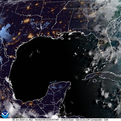 Satellite - Gulf of Mexico - Tue 30 Jul 08:46 EDT