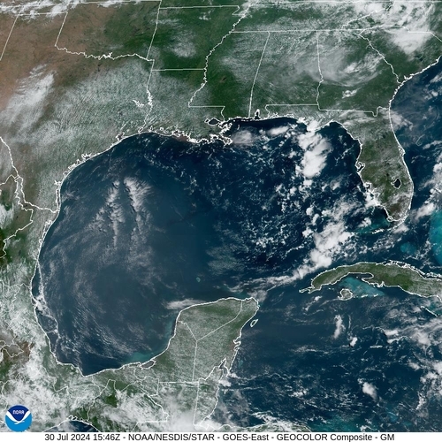 Satellite - Gulf of Mexico - Tue 30 Jul 12:46 EDT
