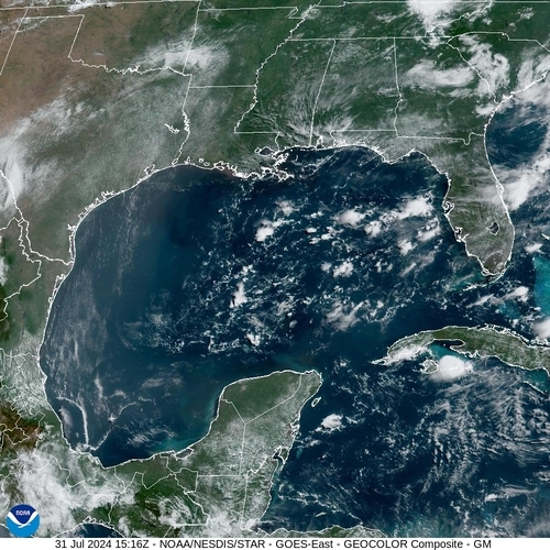 Satellite -  - Wed 31 Jul 12:16 EDT