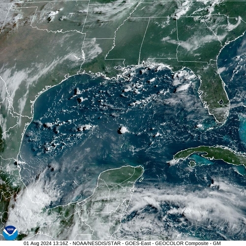 Satellite -  - Thu 01 Aug 10:16 EDT