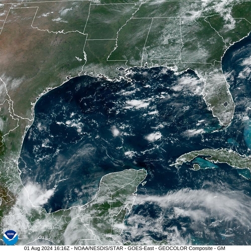 Satellite -  - Thu 01 Aug 13:16 EDT