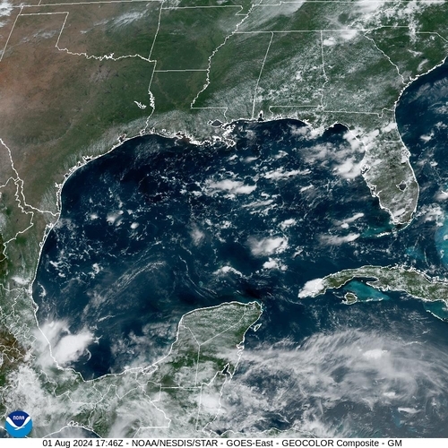 Satellite -  - Thu 01 Aug 14:46 EDT