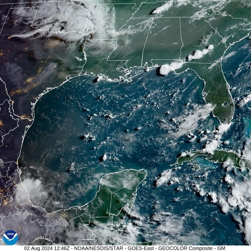 Satellite -  - Fri 02 Aug 09:46 EDT