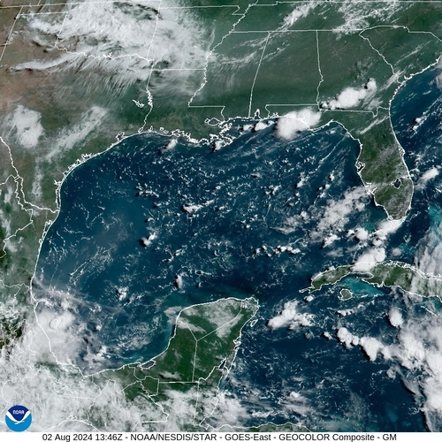 Satellite -  - Fri 02 Aug 10:46 EDT