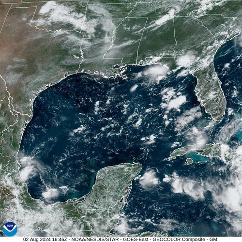 Satellite -  - Fri 02 Aug 13:46 EDT