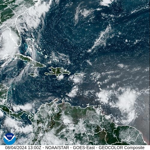 Satellite - Alizes Ouest - Sun 04 Aug 10:00 EDT